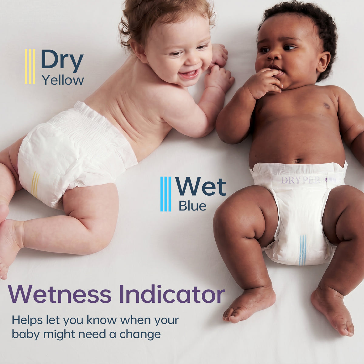 Aerolock Complete Diaper Monthly Box